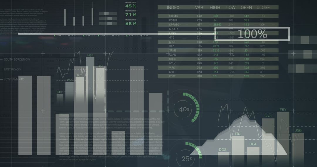 Digital Interface with Stock Market Graphs and Statistics