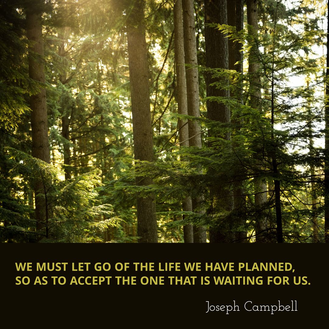 Serene Sunlit Forest with Inspirational Quote by Joseph Campbell - Download Free Stock Templates Pikwizard.com