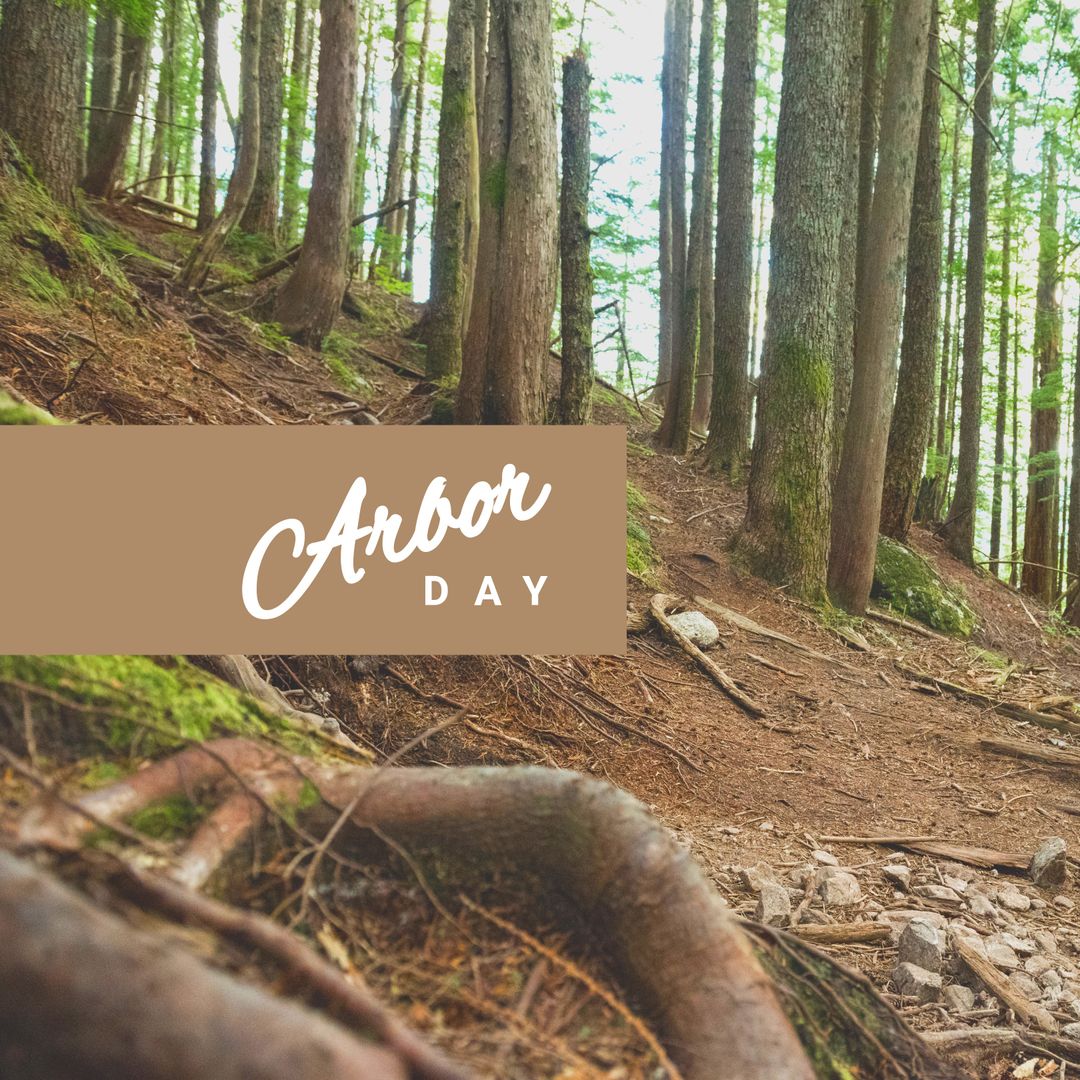Arbor Day Text in Sunlit Forest Background