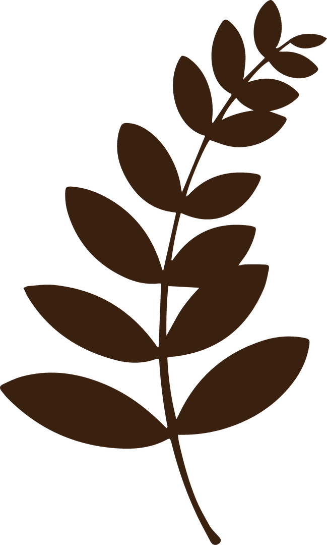 Transparent Background Brown Leafy Silhouette for Minimalist Designs