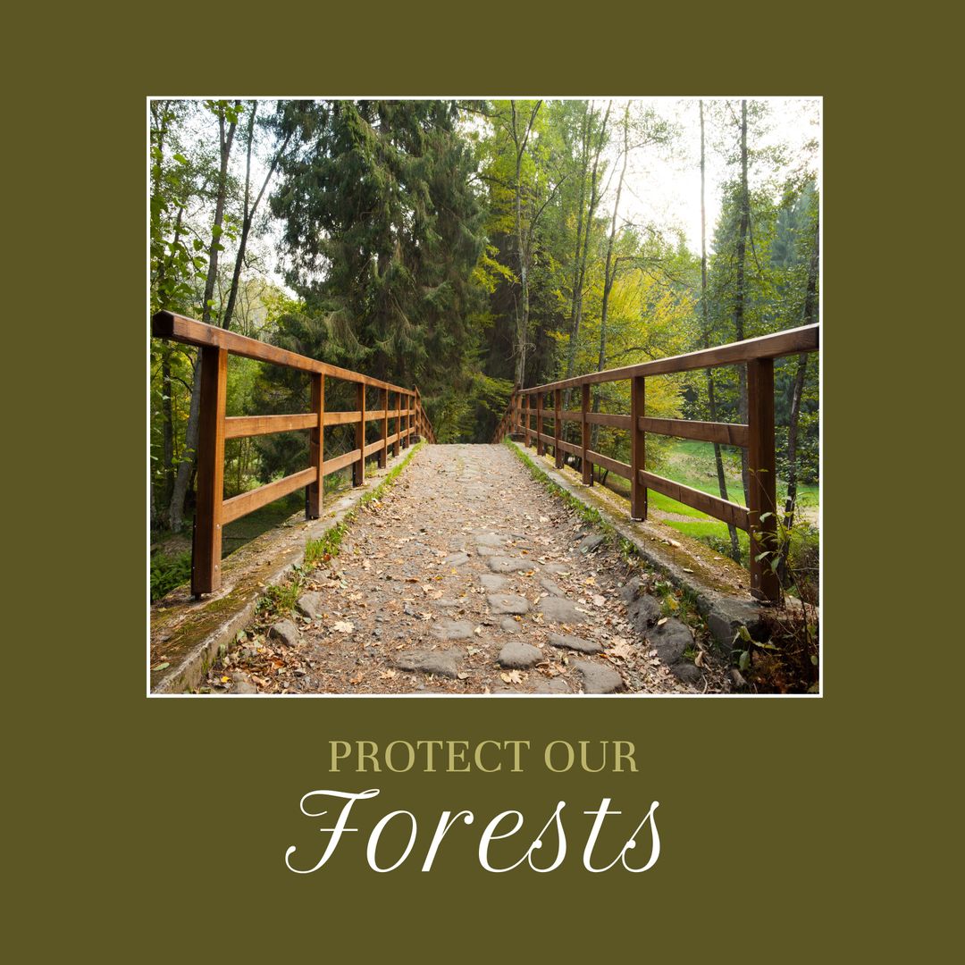 Tranquil Forest Pathway Promoting Environmental Conservation - Download Free Stock Templates Pikwizard.com