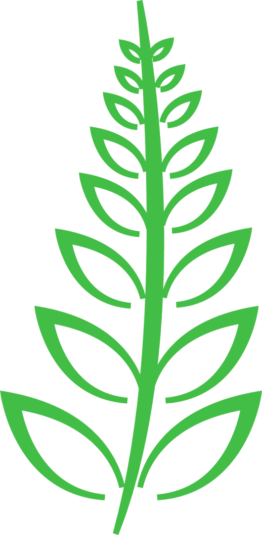 Decorative Green Leaf Silhouette Design on Transparent Background