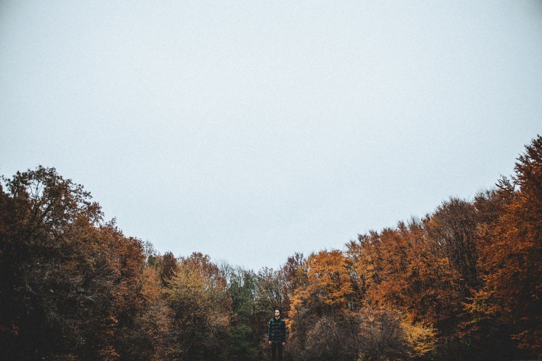 Person Enjoying Scenic Autumn Forest with Colorful Foliage - Free Images, Stock Photos and Pictures on Pikwizard.com