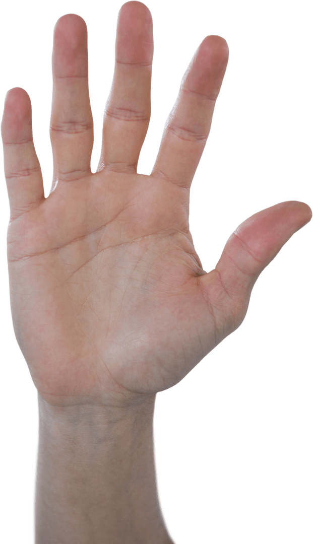 Transparent Hand Gesture Midnight Black Background