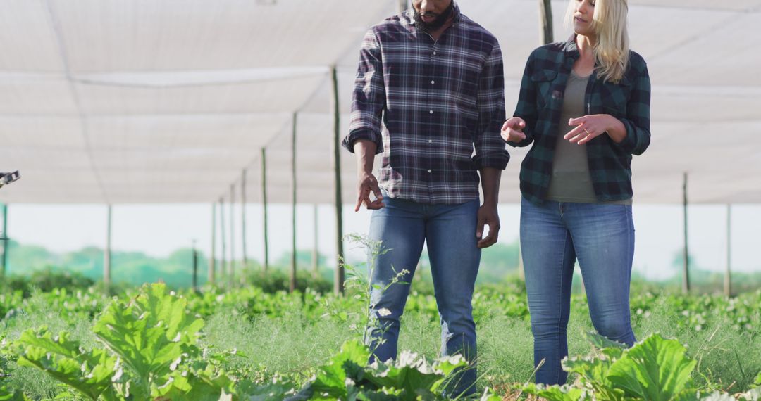 Colleagues Discussing Work in Lush Greenhouse