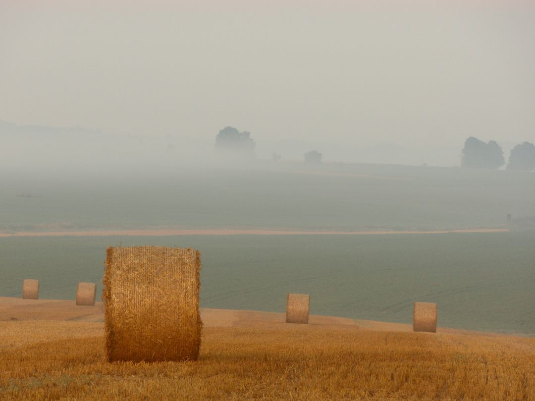 Hay Bales in a Misty Field During Autumn - Free Images, Stock Photos and Pictures on Pikwizard.com