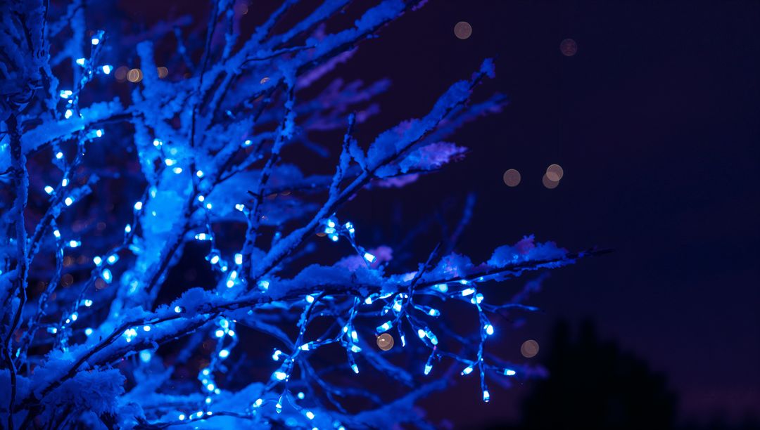 Glowing blue LED lights wrapping snow-covered branches at night with warm bokeh