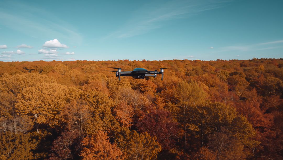 Drone hovering over autumn forest capturing aerial footage of golden foliage