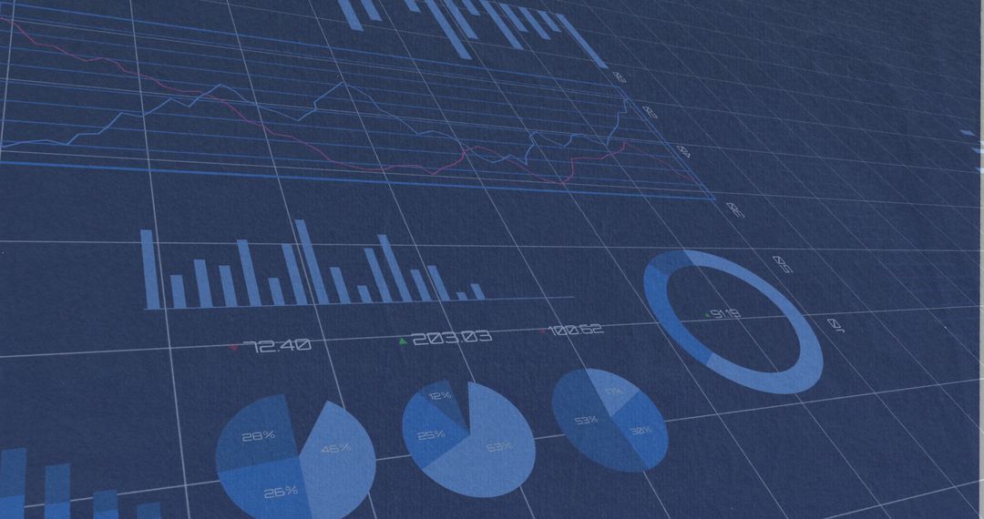 Digital Dashboard Display with Varied Data Charts and Metrics