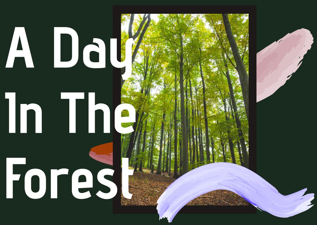 Tranquil Forest Adventure Inspiring Outdoor Exploration