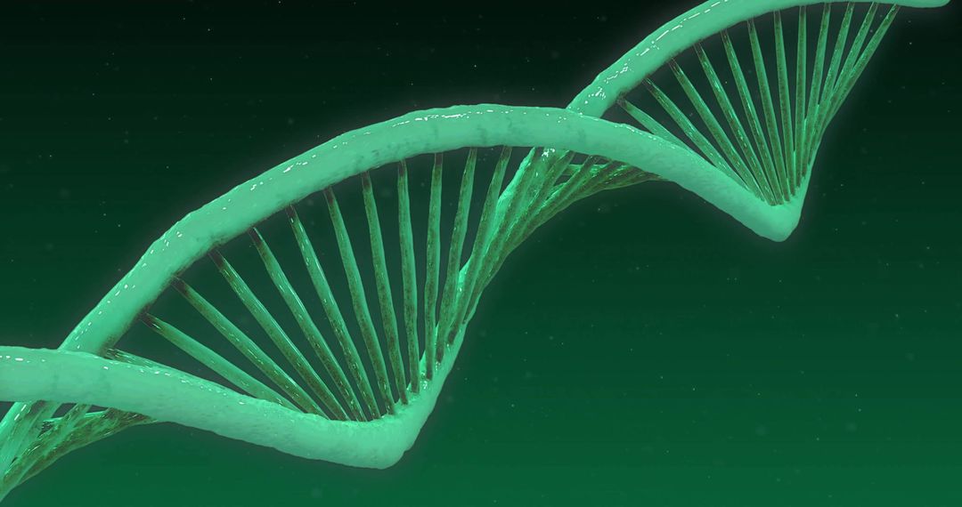 3D DNA Strand Model on Dark Green Background