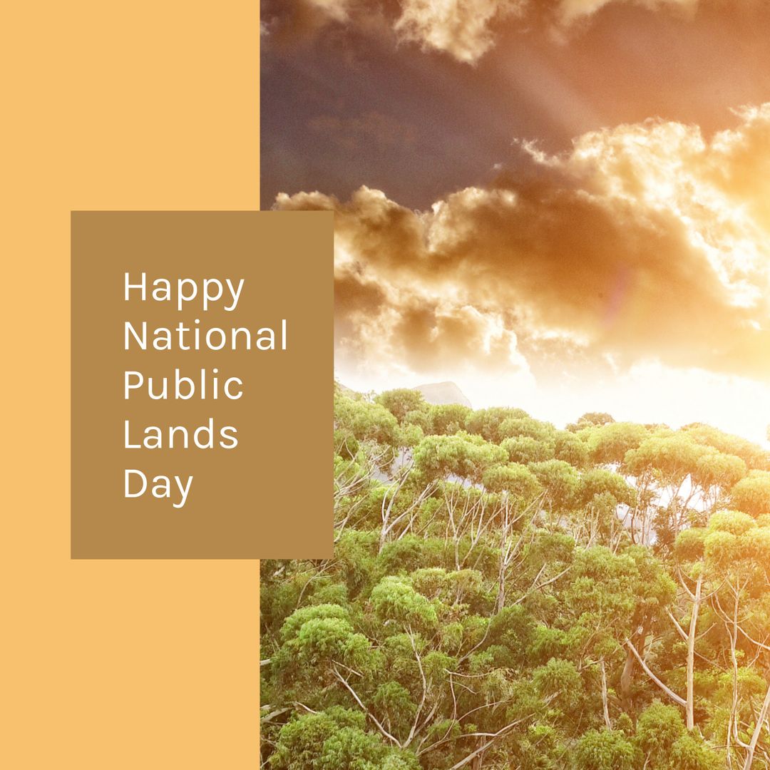 Celebrating National Public Lands Day with Scenic Forest