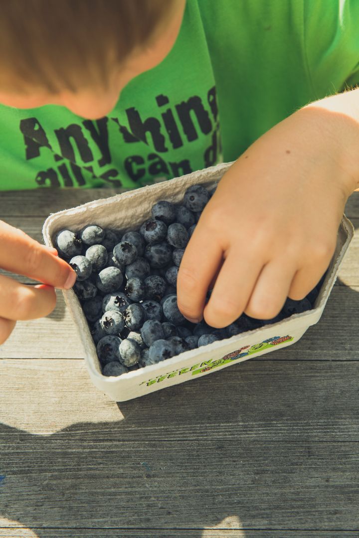 Child Picking Fresh Blueberries in Basket - Free Images, Stock Photos and Pictures on Pikwizard.com