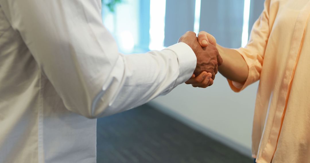 Professional Handshake in Business Environment Indicating Agreement