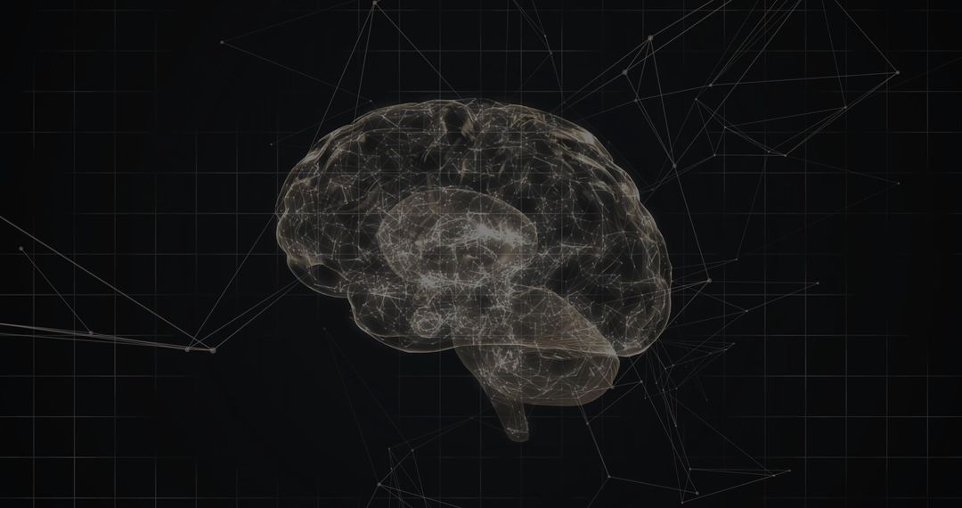 3D Wireframe Brain in Virtual Network Space