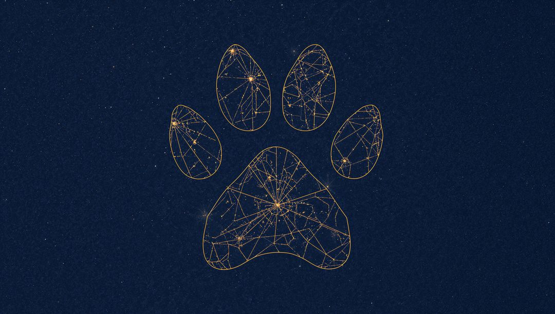 Glowing Golden Paw Network Connecting Stars in Midnight Constellation Lattice Symbol