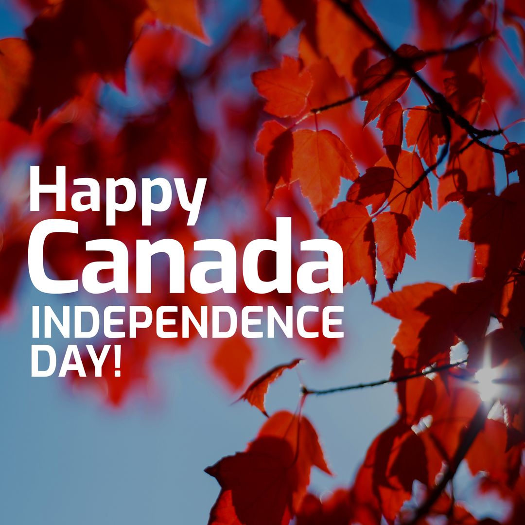 Canada Independence Day Text Over Maple Leaves