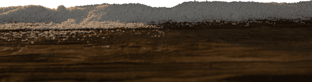 Rustic Wooden Texture with Sand on Transparent Background