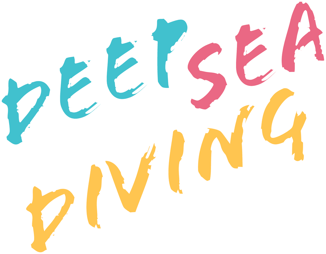 Colorful Brush-Stroke Typography on Transparent Background