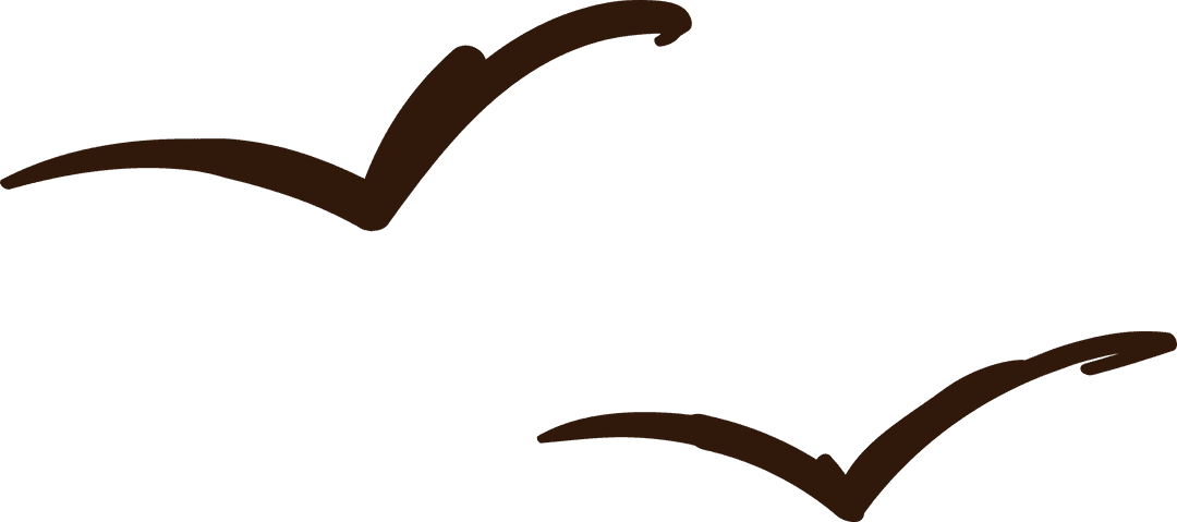 Simplistic bird silhouettes illustration on transparent background