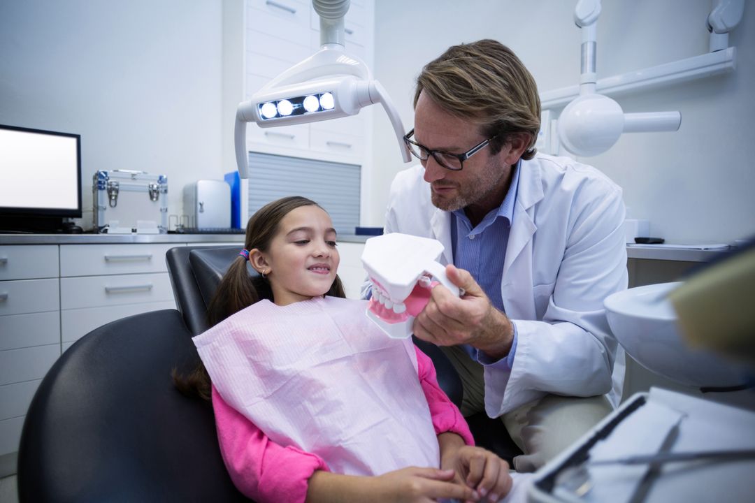 Dentist showing model teeth to patient - Free Images, Stock Photos and Pictures on Pikwizard.com
