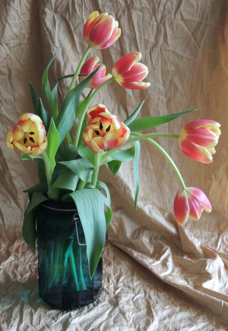 Vibrant Tulips in Black Vase with Rustic Background - Free Images, Stock Photos and Pictures on Pikwizard.com