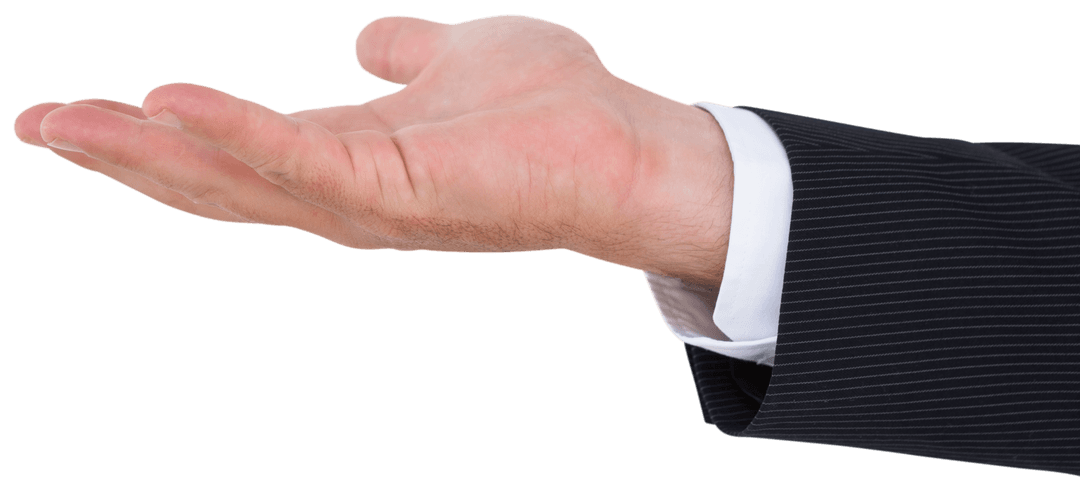 Businessman Open Hand Transparent Business Gesture