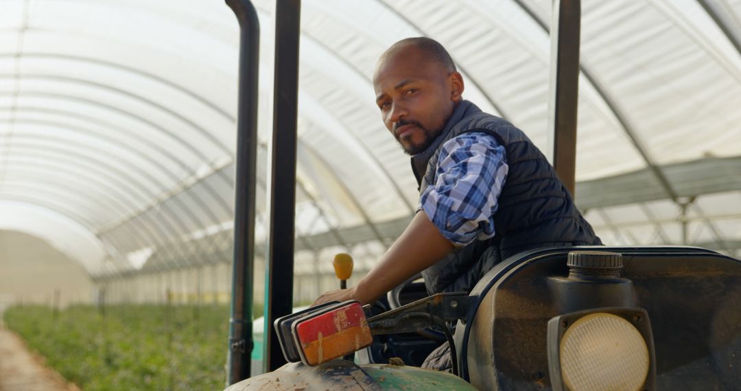 Male Farmer Driving Tractor in Greenhouse on Bright Day - Free Images, Stock Photos and Pictures on Pikwizard.com