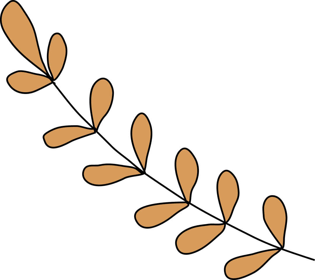 Minimalist Botanical Stem with Teardrop Leaves on Transparent Background