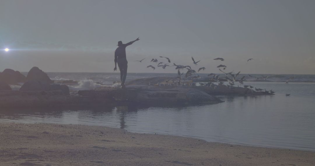 Serene Moment on Seashore with Birds Flying