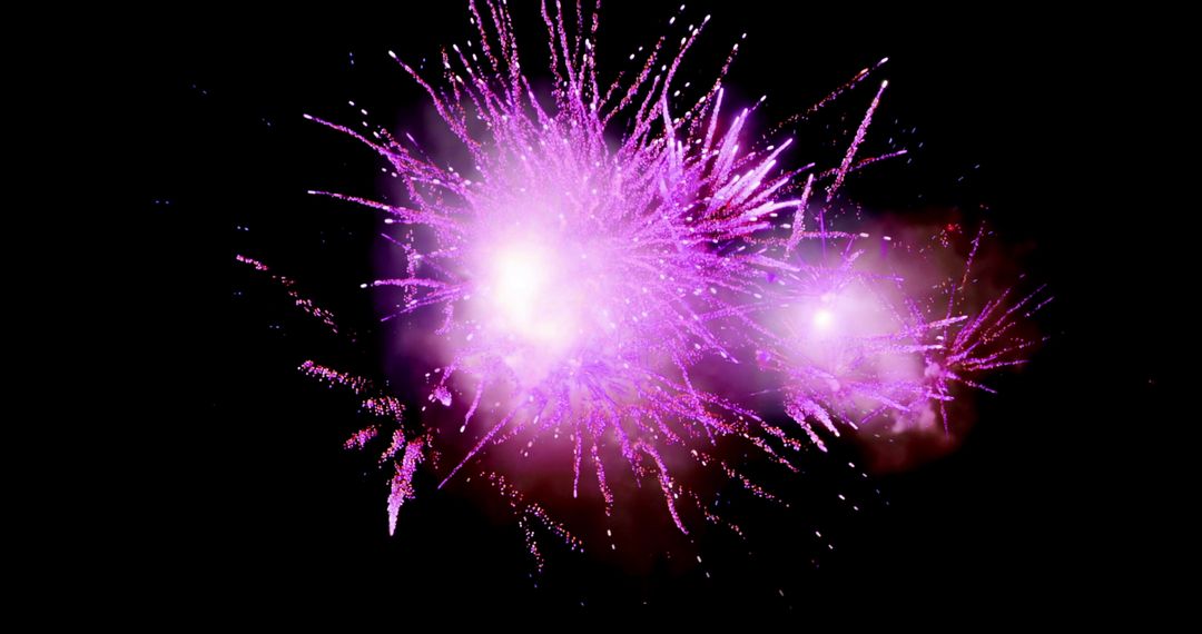 Vibrant Violet and Red Fireworks Lighting Up Night Sky