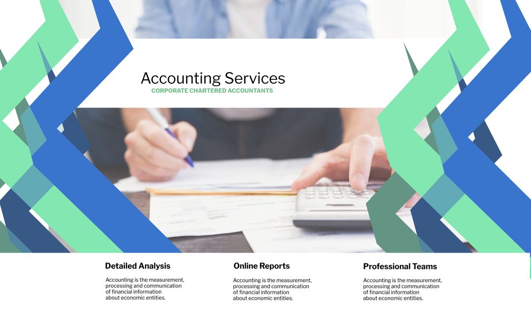 Professional Chartered Accountant Providing Comprehensive Accounting Services