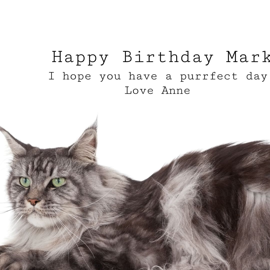 Majestic Cat with Birthday Message on White Background - Download Free Stock Templates Pikwizard.com