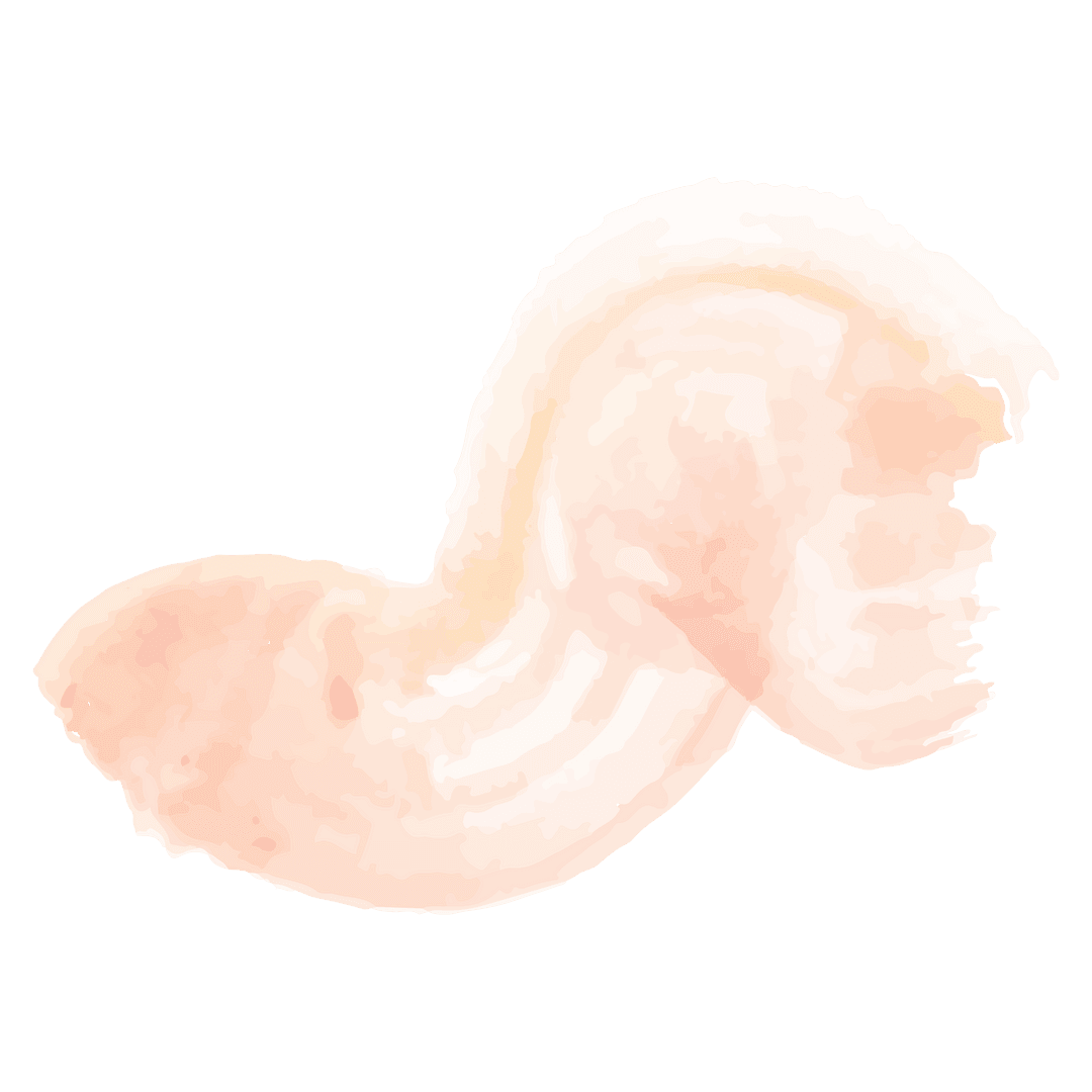 Pink Underline Brush Stroke on Transparent Background