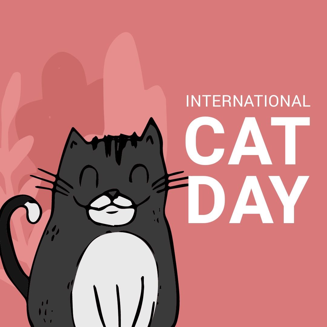 International Cat Day Celebration with Adorable Black Cat on Pink Background - Download Free Stock Templates Pikwizard.com