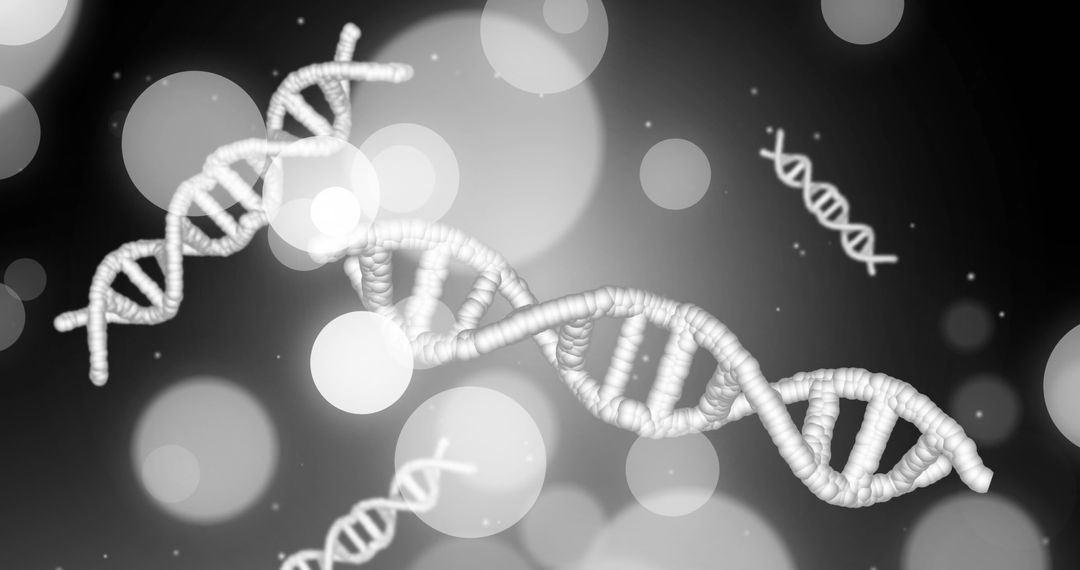 DNA Double Helix with Bokeh Effects in Gray Abstract Background