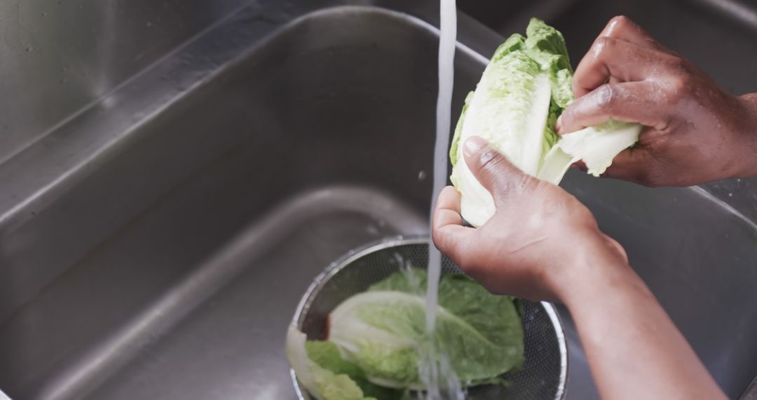 Hands Washing Fresh Romaine Lettuce Leaves in Kitchen Sink - Free Images, Stock Photos and Pictures on Pikwizard.com