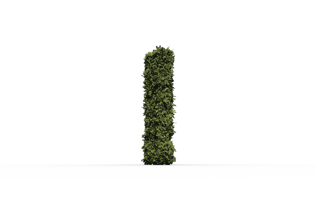 Letter I Surrounded by Grass on Transparent Background