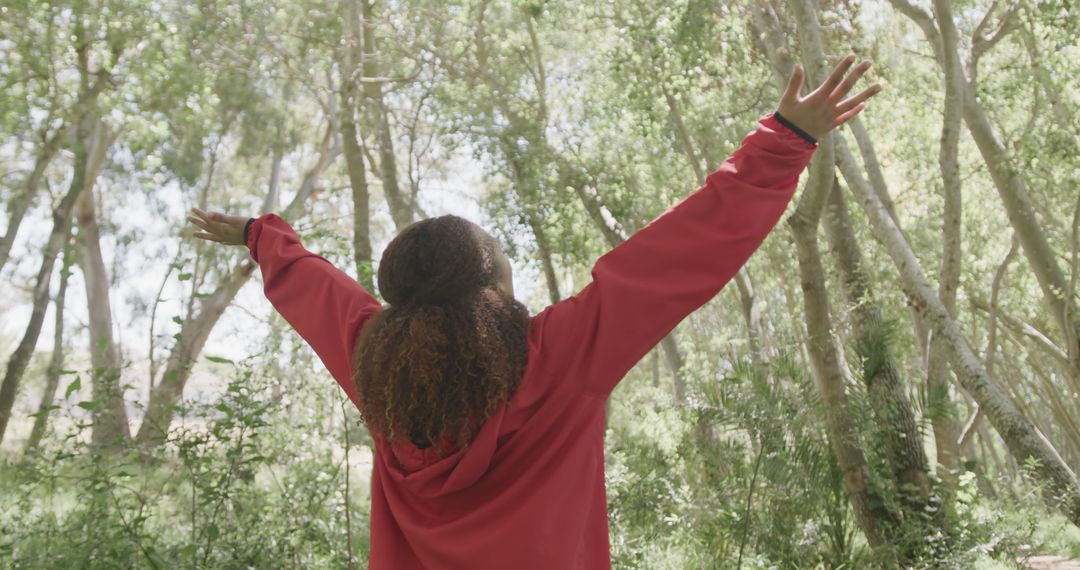 Person Embracing Nature with Raised Arms in Forest - Free Images, Stock Photos and Pictures on Pikwizard.com