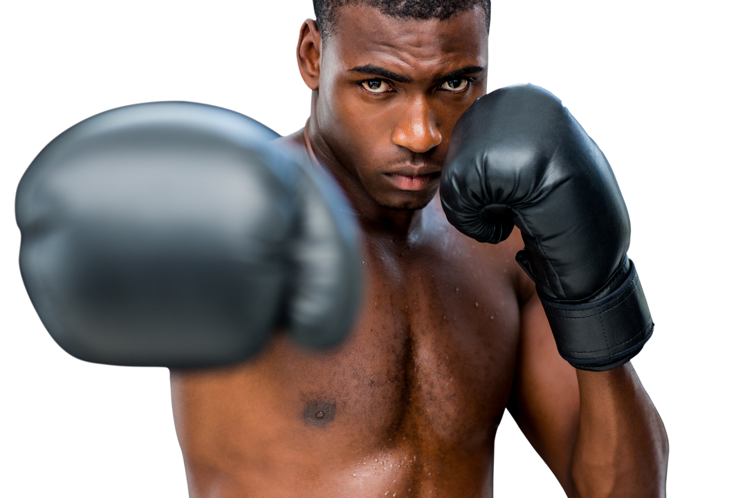 African American Boxer Sparring with Black Gloves on Transparent Background - Download Free Stock Images Pikwizard.com