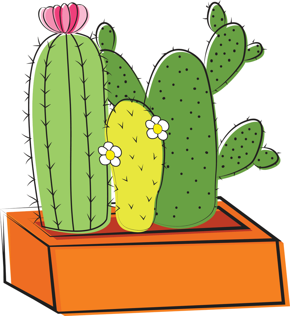 Colorful Cacti Vector on Transparent Background
