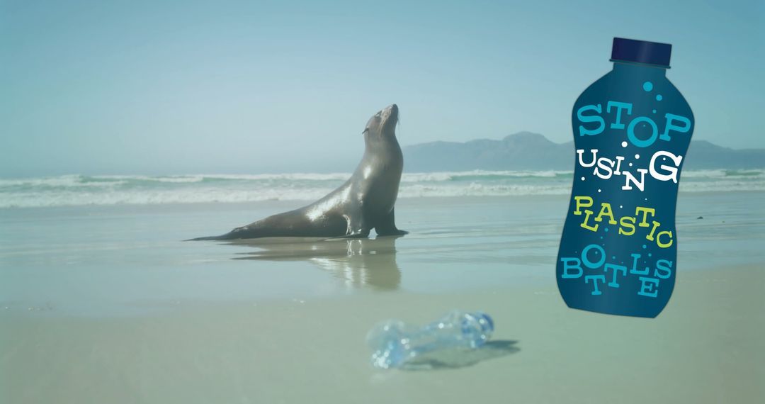 Seal at Beach Advocating Against Plastic Pollution