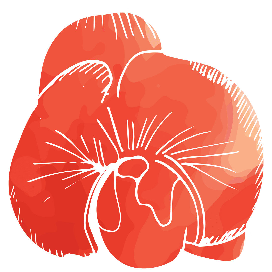 Transparent Red Flower Illustration with Bold Lines