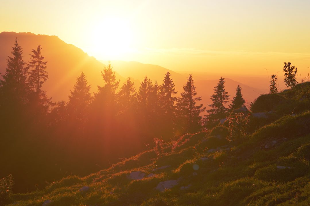 Golden Sunrise Over Mountain Forest with Sun Rays - Free Images, Stock Photos and Pictures on Pikwizard.com