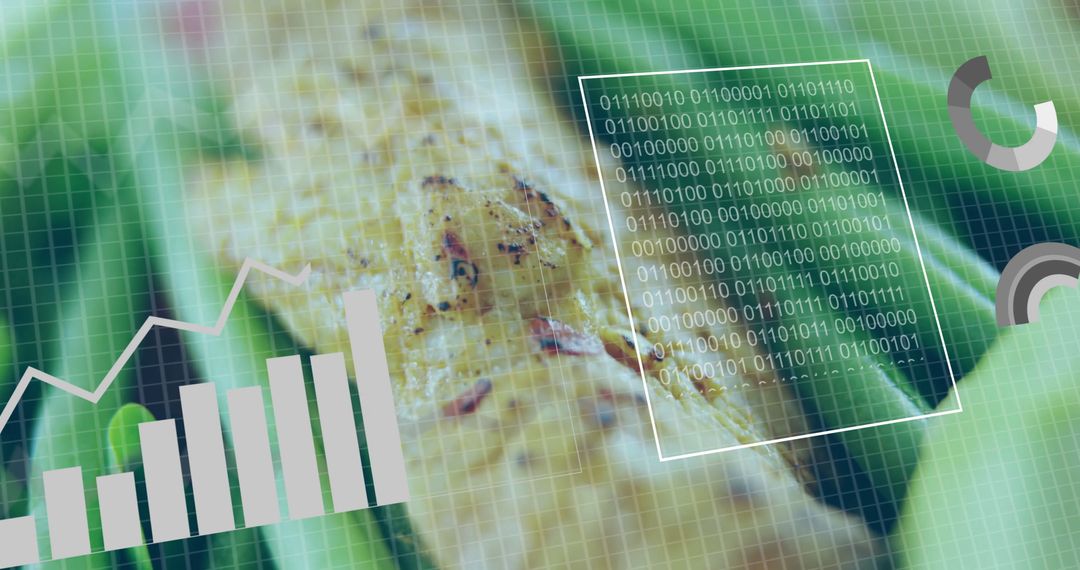 Digital Interface Merging Culinary Elements and Data Visualization