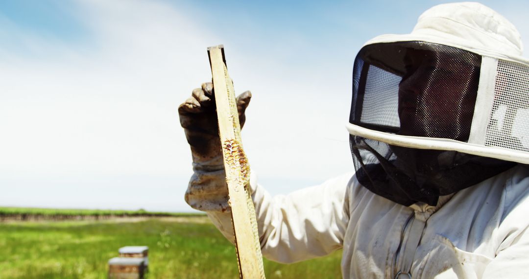 Beekeeper Examining Honeycomb in Beekeeping Suit - Free Images, Stock Photos and Pictures on Pikwizard.com