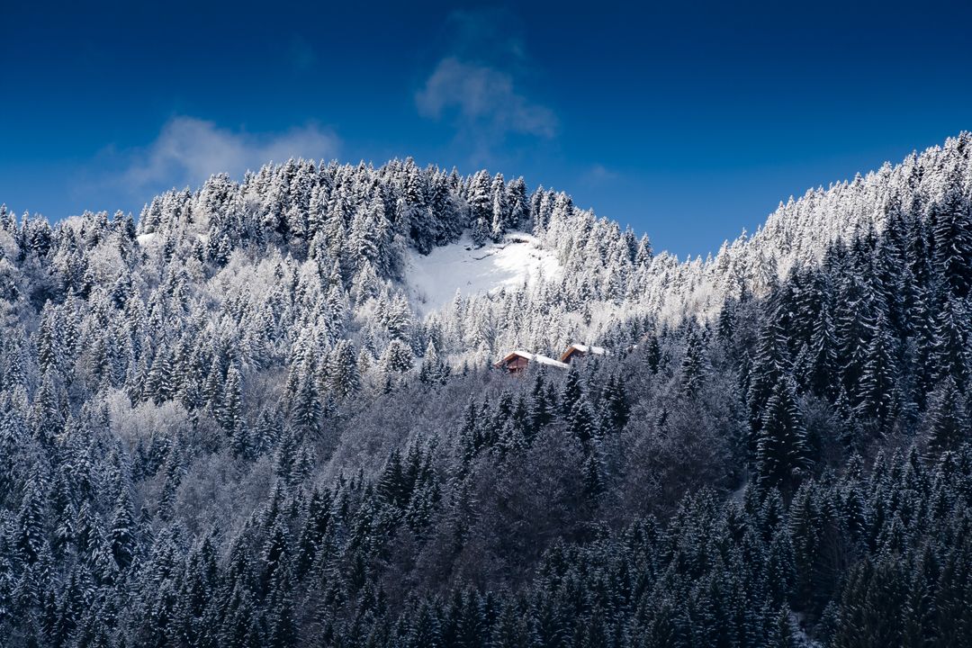 Snow-Covered Mountain Forest with Rustic Cabins