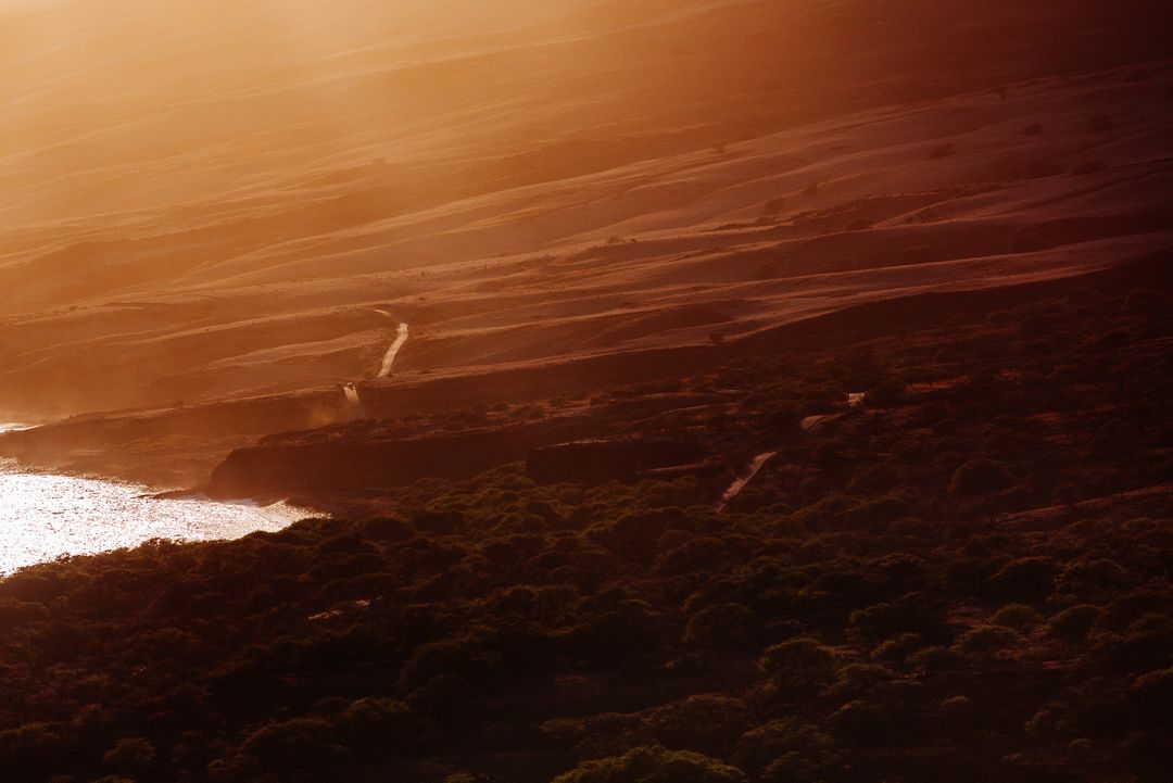 Golden Sunrise Over Desert Landscape with Sand Dunes and Oasis - Free Images, Stock Photos and Pictures on Pikwizard.com