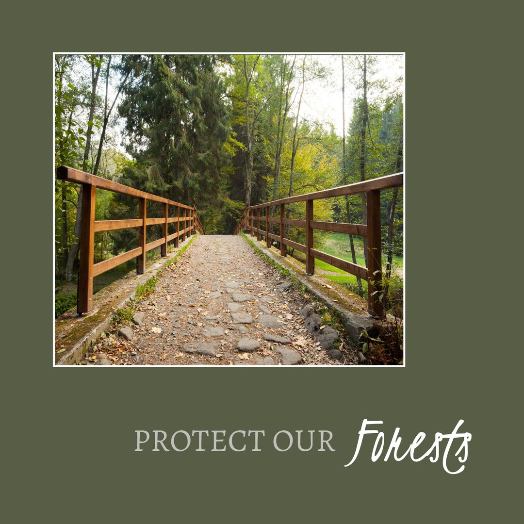 Wooden Footbridge Amidst Lush Forest Promotes Environmental Protection - Download Free Stock Templates Pikwizard.com