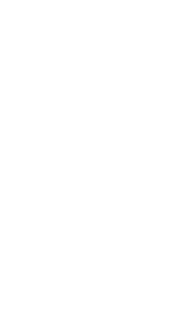 Celebrating Woman Silhouette with Raised Arms Transparent Vector PNG - Download Free Stock Images Pikwizard.com